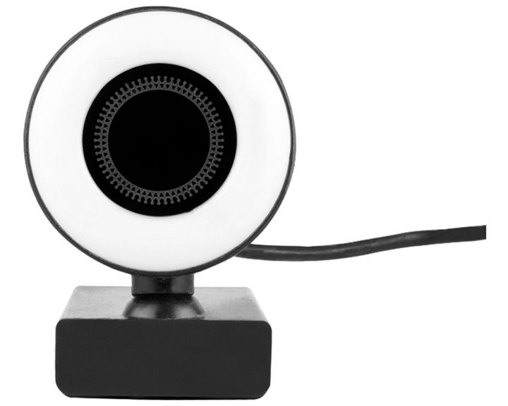 LAMTECH WEB CAMERA 1080P WITH ILLUMINATION 'EARTH'