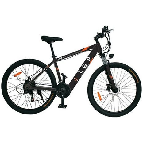LGP MOUNTAIN E-BIKE 36V 250W 'REBEL'