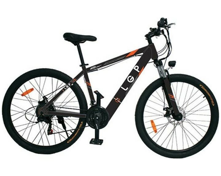 LGP MOUNTAIN E-BIKE 36V 250W 'REBEL'