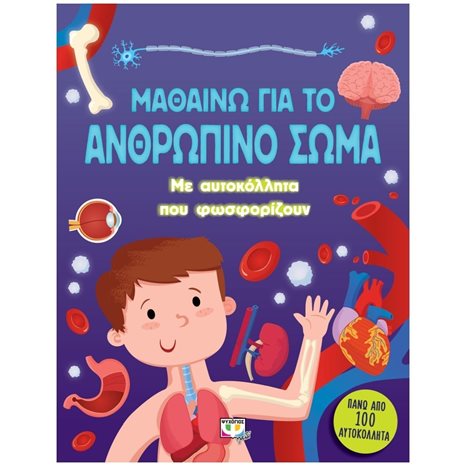 ΜΑΘΑΙΝΩ ΓΙΑ ΤΟ ΑΝΘΡΩΠΙΝΟ ΣΩΜΑ (ΜΕ  ΑΥΤΟΚΟΛΛΗΤΑ ΠΟΥ ΦΩΣΦΟΡΙΖΟΥΝ)