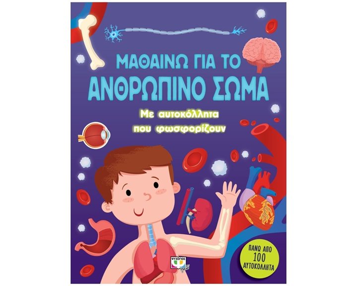 ΜΑΘΑΙΝΩ ΓΙΑ ΤΟ ΑΝΘΡΩΠΙΝΟ ΣΩΜΑ (ΜΕ  ΑΥΤΟΚΟΛΛΗΤΑ ΠΟΥ ΦΩΣΦΟΡΙΖΟΥΝ)