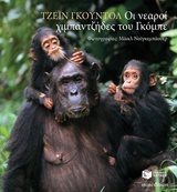Οι νεαροί χιμπαντζήδες του Γκόμπε 11099