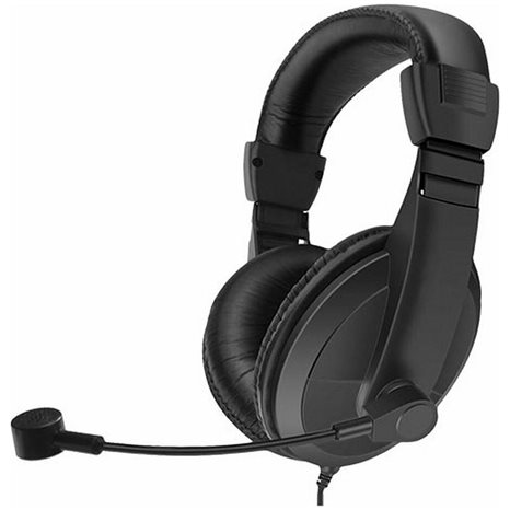 LAMTECH USB 2.0 STEREO HEADSET DELUXE WITH MIC