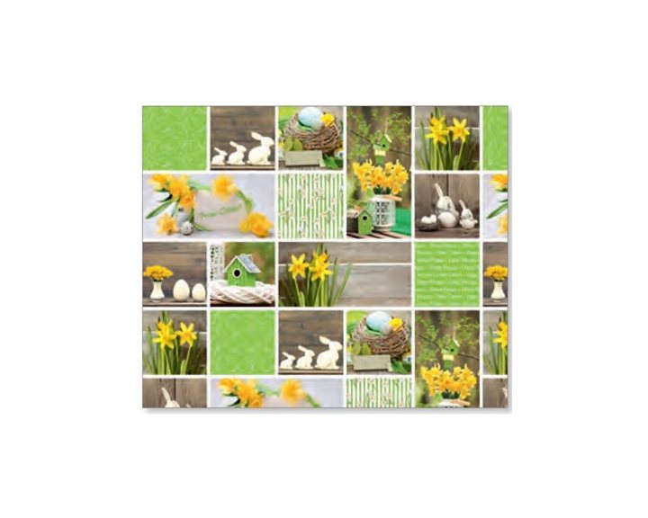 Χαρτόνι Ursus 50x68 300gr Happy Easter Green