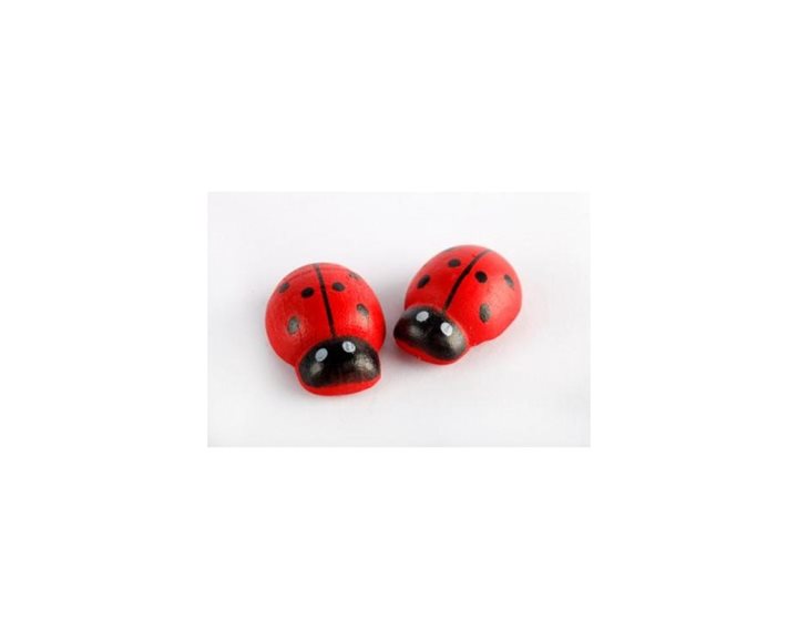 Πασχαλίτσες Ξύλινες 2,5cm 40τεμ. 61541