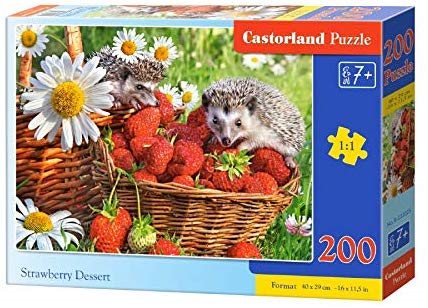 Παζλ Castorland 200τμχ. Strawberry Desert 40x29cm B-222025