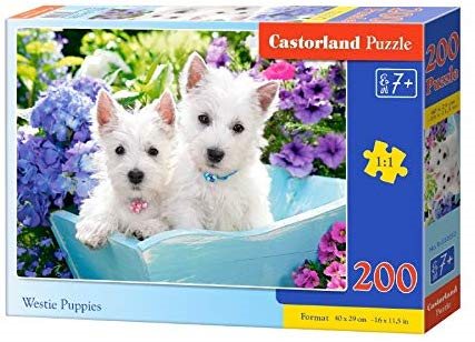 Παζλ Castorland 200τμχ. Westie Puppies 40x29cm B-222032