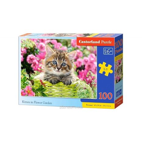 Παζλ Castorland 100 τμχ. Kitten in Flower Garden 40x29cm B-111039