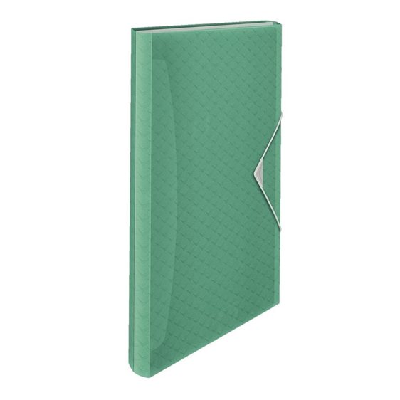 Κουτί Esselte A4 PP Colour'Breeze 25mm 6θεσεων 262253 Green