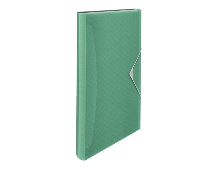 Κουτί Esselte A4 PP Colour'Breeze 25mm 6θεσεων 262253 Green