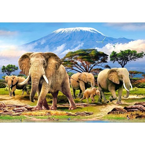 Παζλ Castorland 1000 τμχ. Kilimanjaro Morning 68x47 C-103188-2