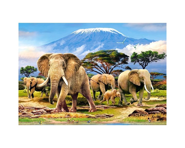 Παζλ Castorland 1000 τμχ. Kilimanjaro Morning 68x47 C-103188-2
