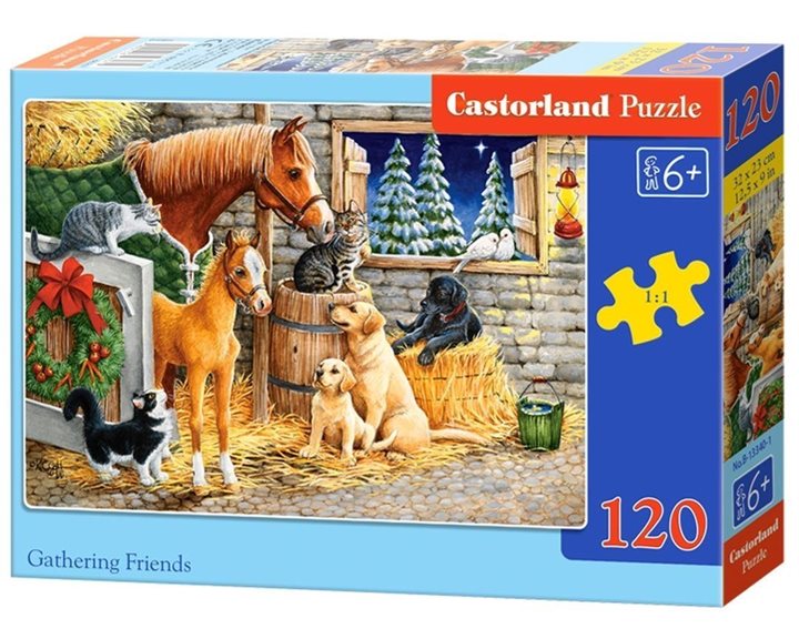 Παζλ Castorland 120 Τμχ. Gathering Friends 32x23cm B-13340-1