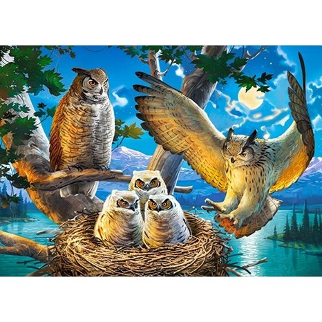 Παζλ Castorland 180τμχ. Owel Family 32x23cm B-018437