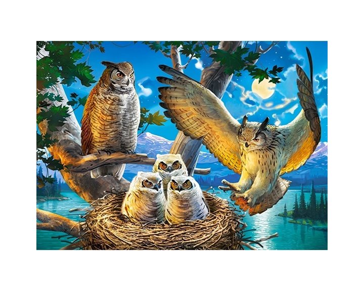 Παζλ Castorland 180τμχ. Owel Family 32x23cm B-018437