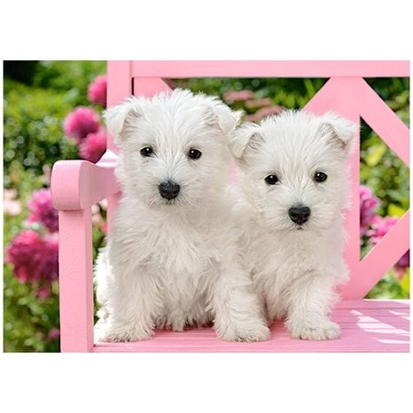 Παζλ Castorland 120 Τμχ. White Terrier Puppies 32x23cm B-13494-1