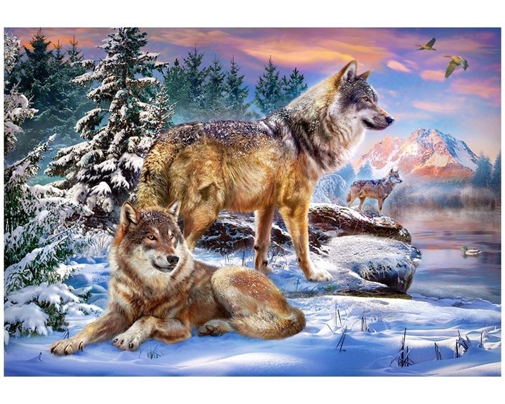 Παζλ Castorland 500 τμχ. Wolfish Wonderland 47x33cm B-53049