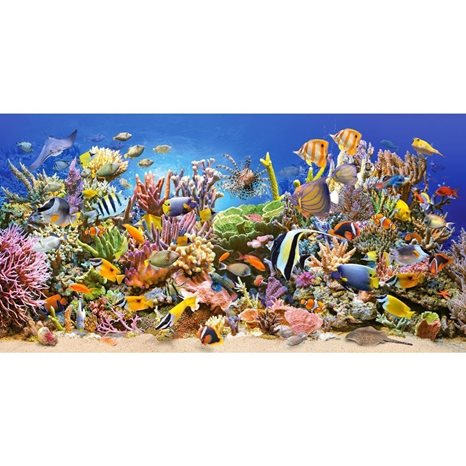 Παζλ Castorland 4000τεμ. Underwater Life 138x68 C-400089-2