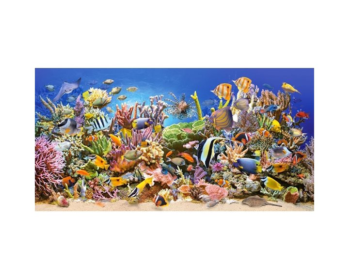 Παζλ Castorland 4000τεμ. Underwater Life 138x68 C-400089-2