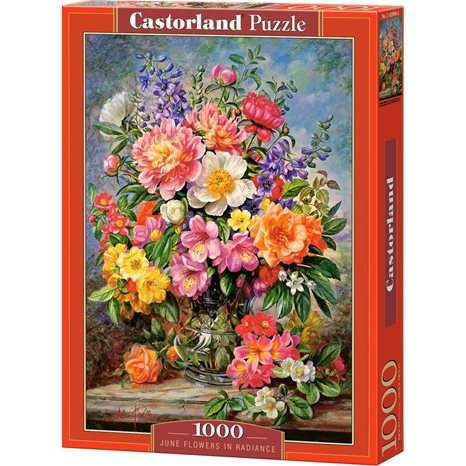 Παζλ Castorland 1000 τμχ. June Flowerw In Radiance 68x47 C-103904-2