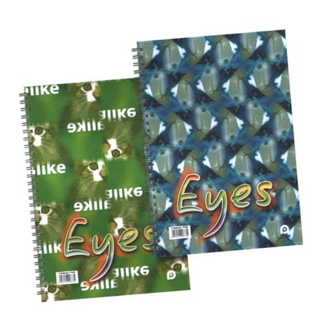 Τετράδιο Σπιράλ 17Χ25 Eyes 4θ.