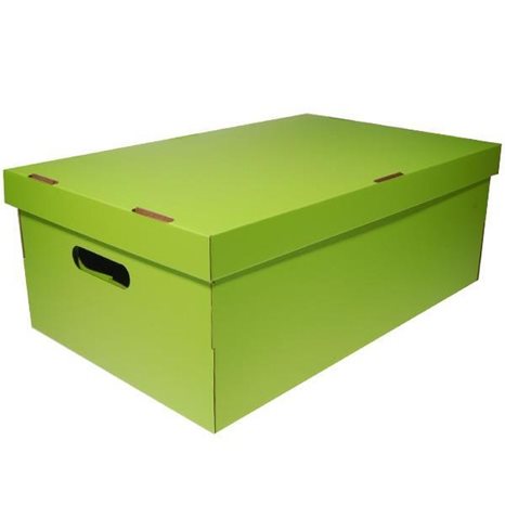 Next Κουτί Α3 Colors Λαχανί 19x50x31cm