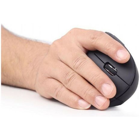GEMBIRD ERGONOMIC 6-BUTTON OPTICAL MOUSE BLACK