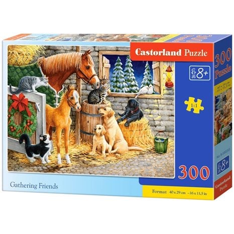 Παζλ Castorland 300τμχ. Gathering Friends 40x29cm B-030255