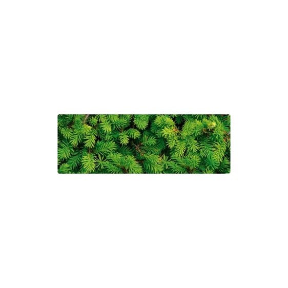 Χαρτόνι Ursus Έλατο 50X68 300gr.