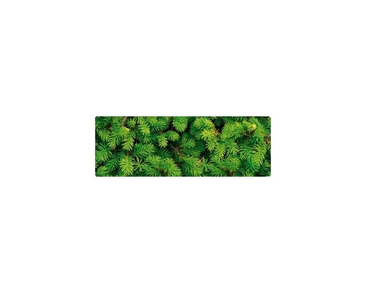 Χαρτόνι Ursus Έλατο 50X68 300gr.