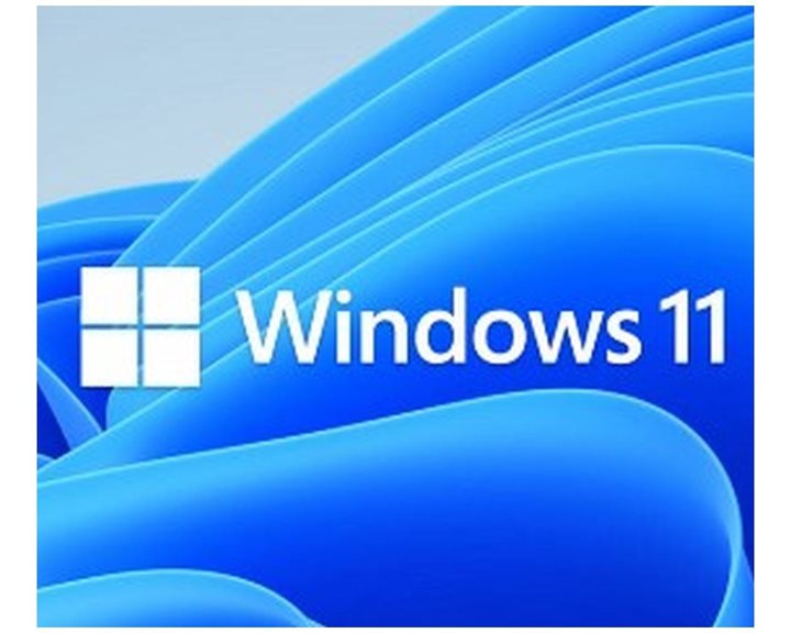 MS WINDOWS DSP 11 PRO 64-BIT ENG