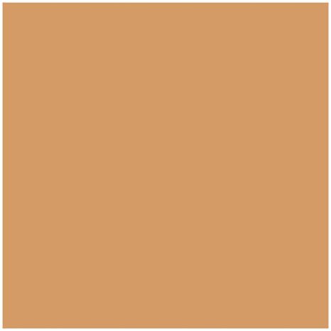 Χαρτόνι canson colorine 50x70 220gr 32 Leather