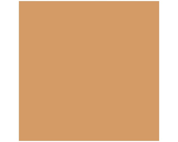 Χαρτόνι canson colorine 50x70 220gr 32 Leather