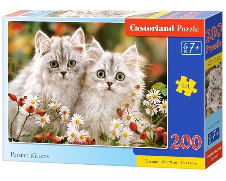 Παζλ Castorland 200τμχ. Persians Kittens 40x29cm B-222131