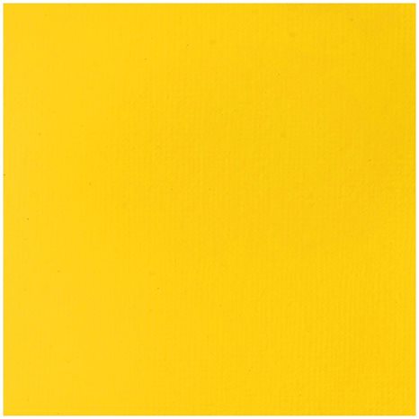 Liquitex 118 ml Basics 160 Cadmium Yellow Light Hue