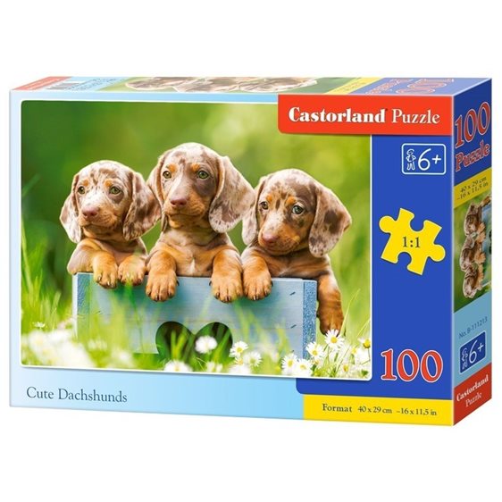 Παζλ Castorland 100 τμχ. Cute Dachshunds  40x29cm B-111213