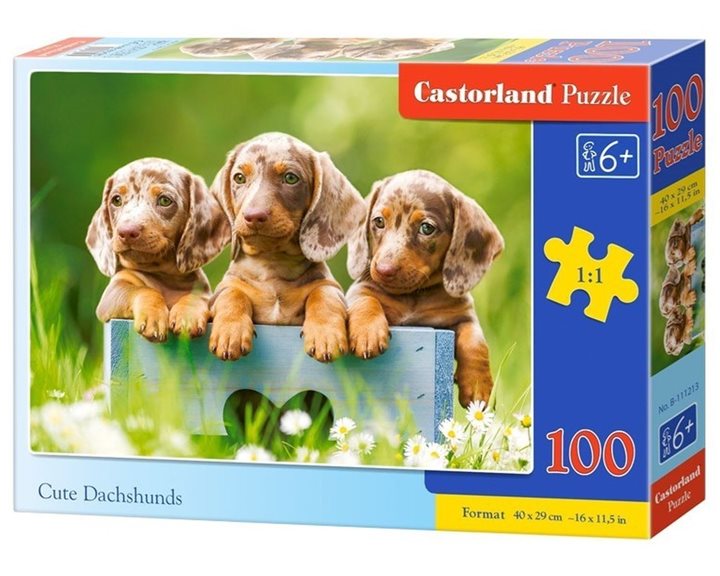 Παζλ Castorland 100 τμχ. Cute Dachshunds  40x29cm B-111213