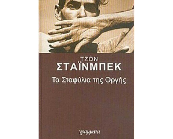 ΤΑ ΣΤΑΦΥΛΙΑ ΤΗΣ ΟΡΓΗΣ
