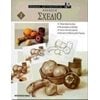 Ζωγραφική Για Μεγάλους - Image Description
