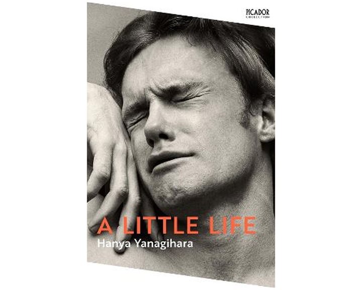 A LITTLE LIFE