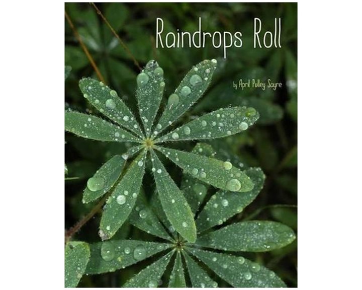 RAINDROPS ROLL: WITH AUDIO RECORDING