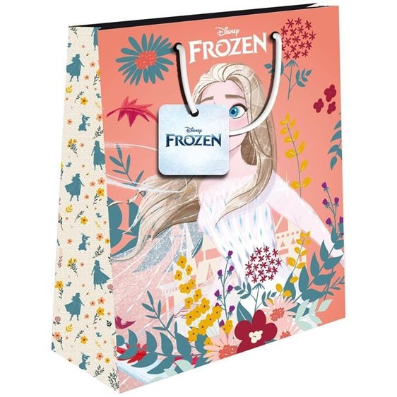 Τσάντα Δώρου Χάρτινη 18χ11χ23 Frozen 2
