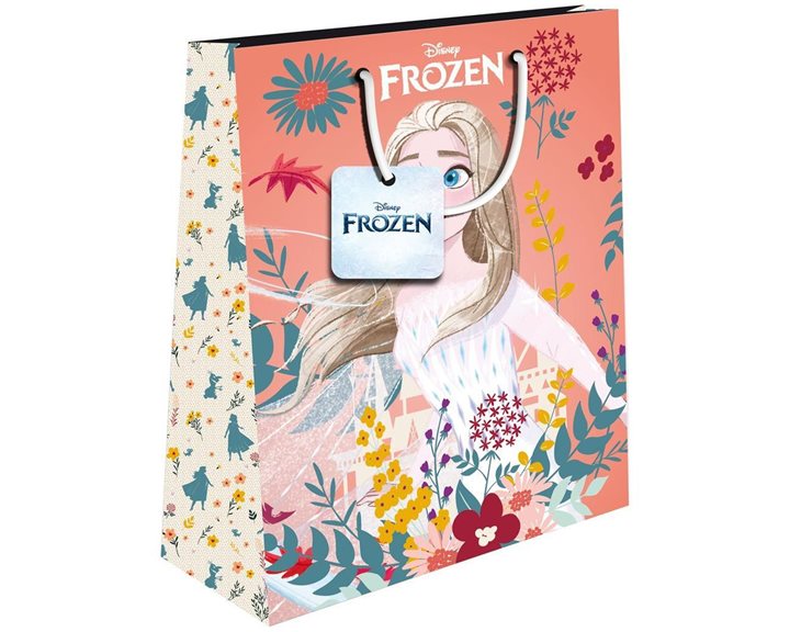 Τσάντα Δώρου Χάρτινη 18χ11χ23 Frozen 2