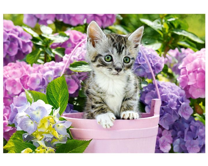 Παζλ Castorland 1500τμχ. Kitten In Basket C-152001-2