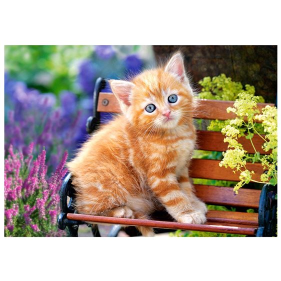 Παζλ Castorland 500 τμχ Ginger Kitten B-52240