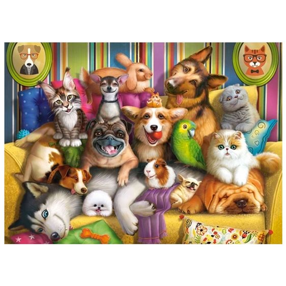 Παζλ Castorland 70τμχ Playful Pets B-070176
