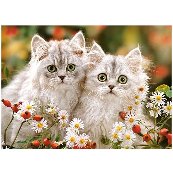 Παζλ Castorland 200τμχ. Persians Kittens 40x29cm B-222131