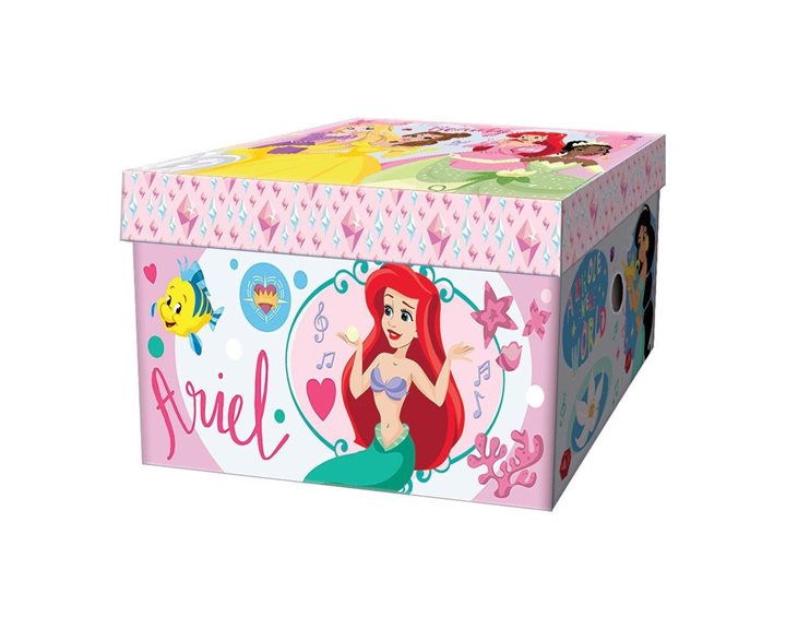 Κουτί Αποθήκευσης Χάρτινο 33x24x18cm Princess 000564153
