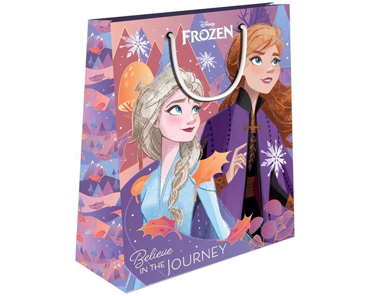 Τσάντα Δώρου Χάρτινη με Foil 26x12x32 Frozen 2