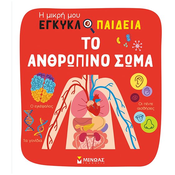 Το ανθρώπινο σώμα 01378